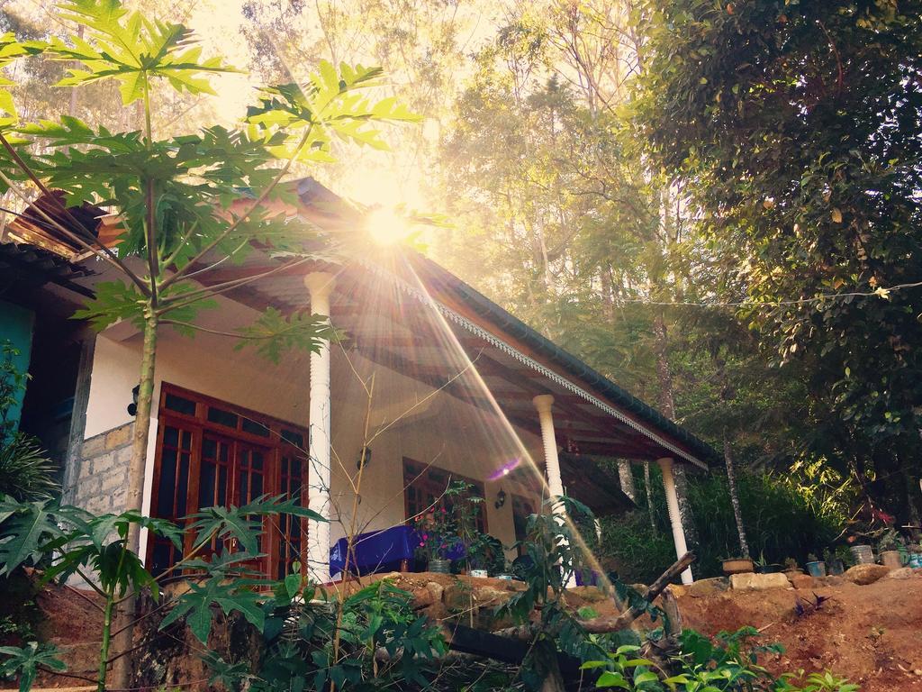 Secret Nest Homestay Элла Экстерьер фото
